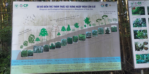 Top 20 cửa hàng play Huyện Cần Giờ Hồ Chí Minh 2022