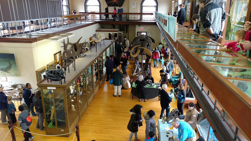 Museum «Rutgers Geology Museum», reviews and photos, 85 Somerset St, New Brunswick, NJ 08901, USA
