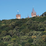 Photo n°6 de l'avis de Bine.8 fait le 07/08/2022 à 18:52 sur le  K.U.K. Weinhäuschen à Bonn