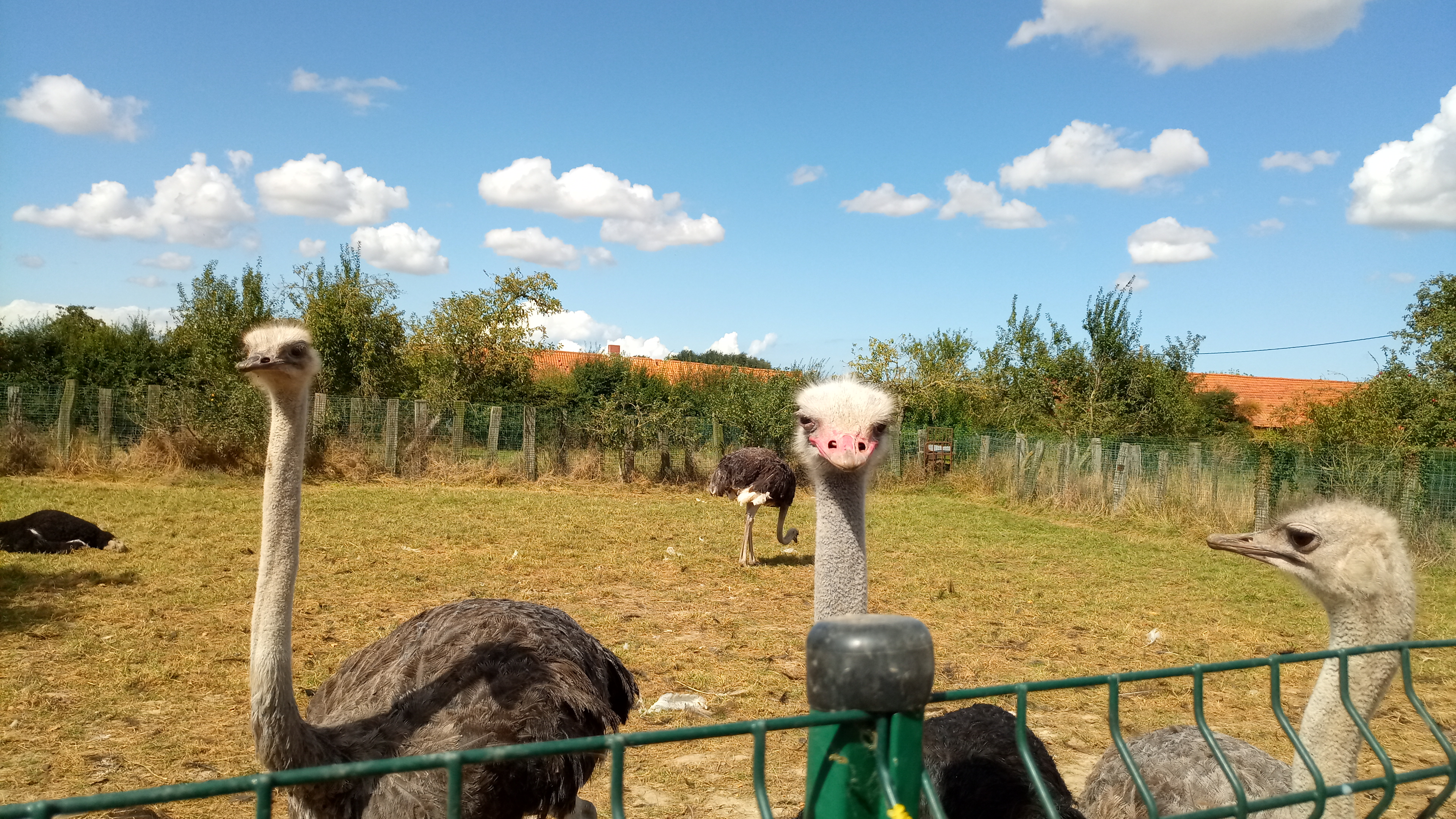 Photo n° 3 de l'avis de Francois.y fait le 01/09/2019 à 22:26