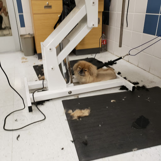 Pet Supply Store «Petco Animal Supplies», reviews and photos, 8700 Preston Rd #105, Plano, TX 75024, USA