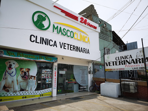 MASCOCLINICA CLINICA VETERINARIA