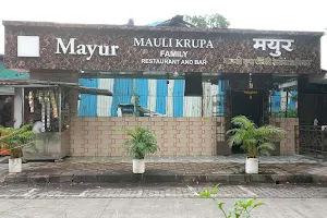 Mayur Family Bar and Restaurant image