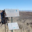 Ocotillo Trail
