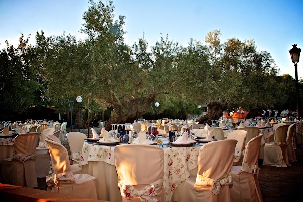 Imagen de Catering María Antonia (6 de 6)