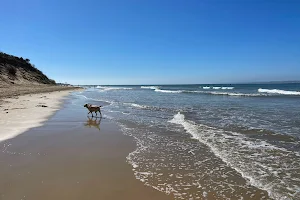 Point Lonsdale Dog Beach image
