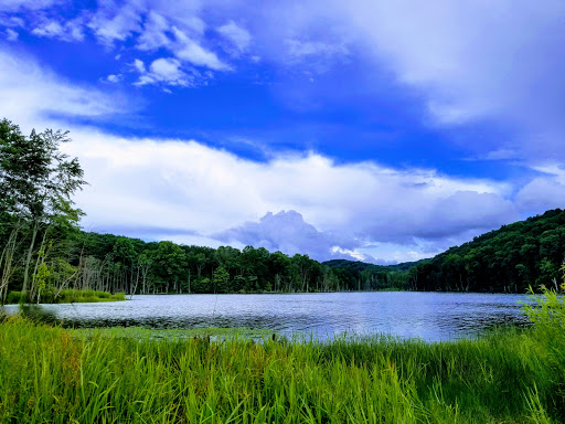 Park «Delaney Creek Park», reviews and photos, 8215 N Delaney Park Rd, Scottsburg, IN 47170, USA