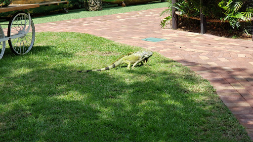 Sightseeing Tour Agency «Jungle Queen Riverboat», reviews and photos, 801 Seabreeze Blvd, Fort Lauderdale, FL 33316, USA