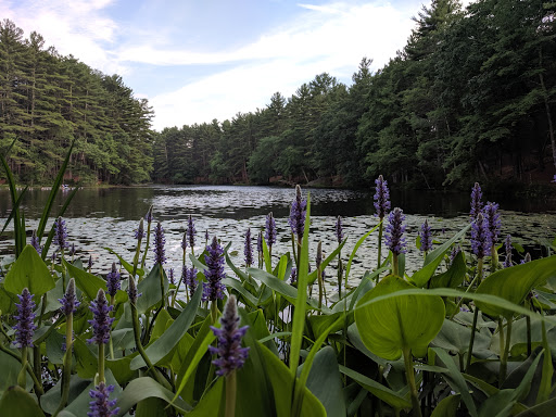 Campground «Lorraine Park Campground», reviews and photos, 133 Jenkins Rd, Andover, MA 01810, USA