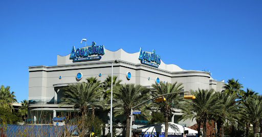 Downtown Aquarium