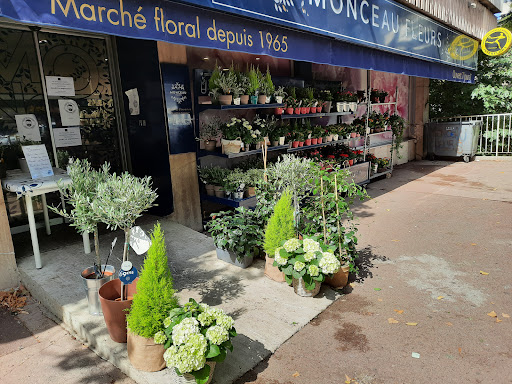 Magasins de fleurs bon marché Marseille