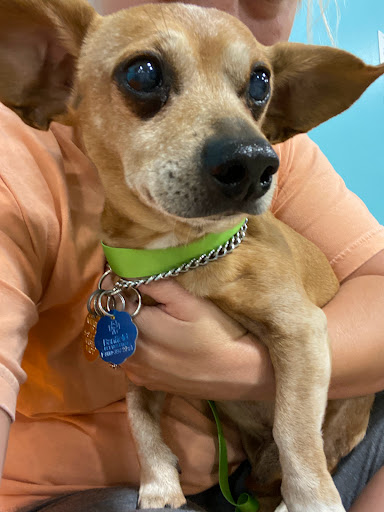 Pet Supply Store «PetSmart», reviews and photos, 1275 N Military Hwy, Norfolk, VA 23502, USA