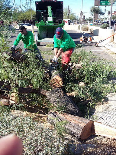 Sporting Goods Store «Big 5 Sporting Goods», reviews and photos, 921 E Southern Ave, Tempe, AZ 85282, USA