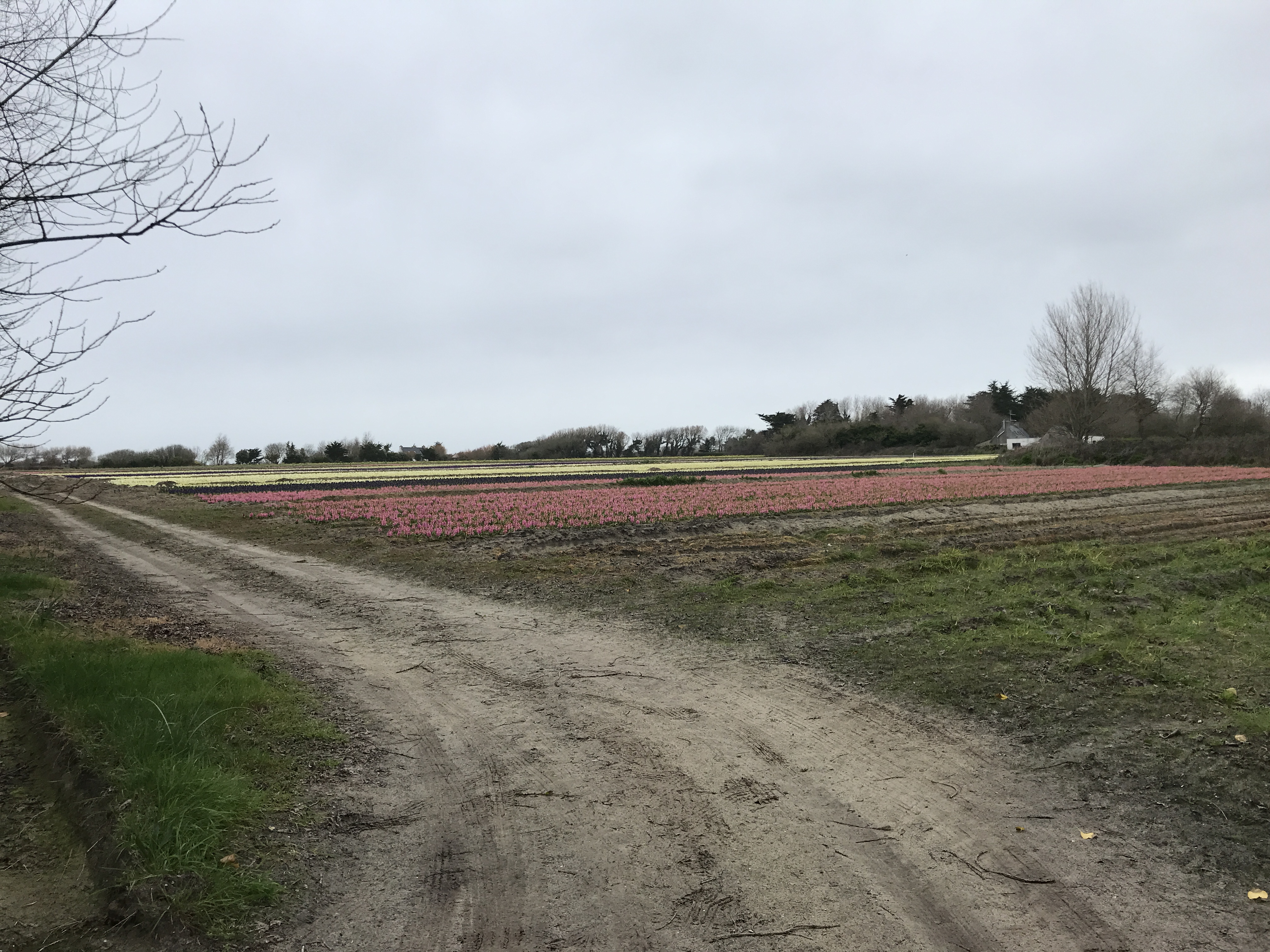 Photo n° 13 de l'avis de Jean-Marie.U fait le 11/03/2022 à 10:42