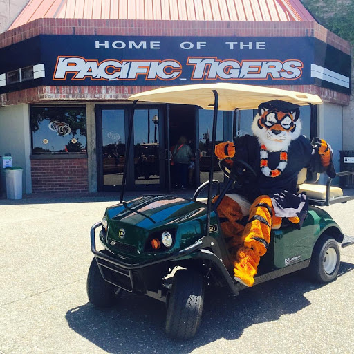 Cipponeri Golf Carts - Main Image