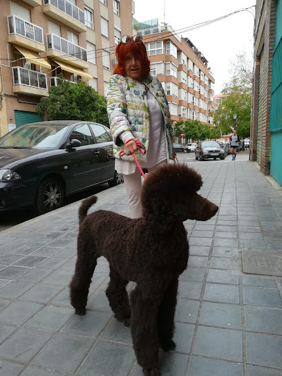 Chur riskis - Servicios para mascota en Valencia