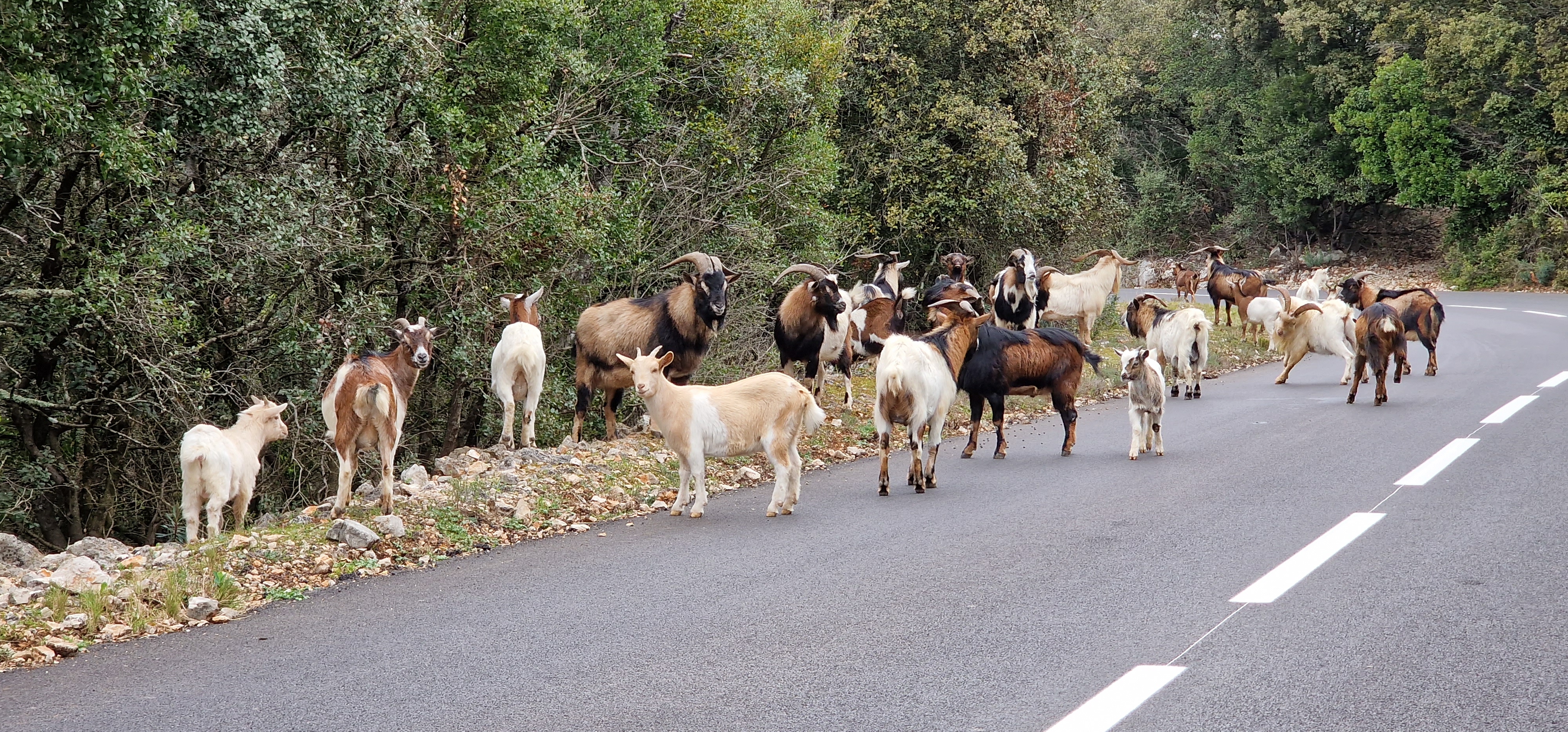 Photo n° 9 de l'avis de Aurélien.o fait le 20/03/2022 à 17:33