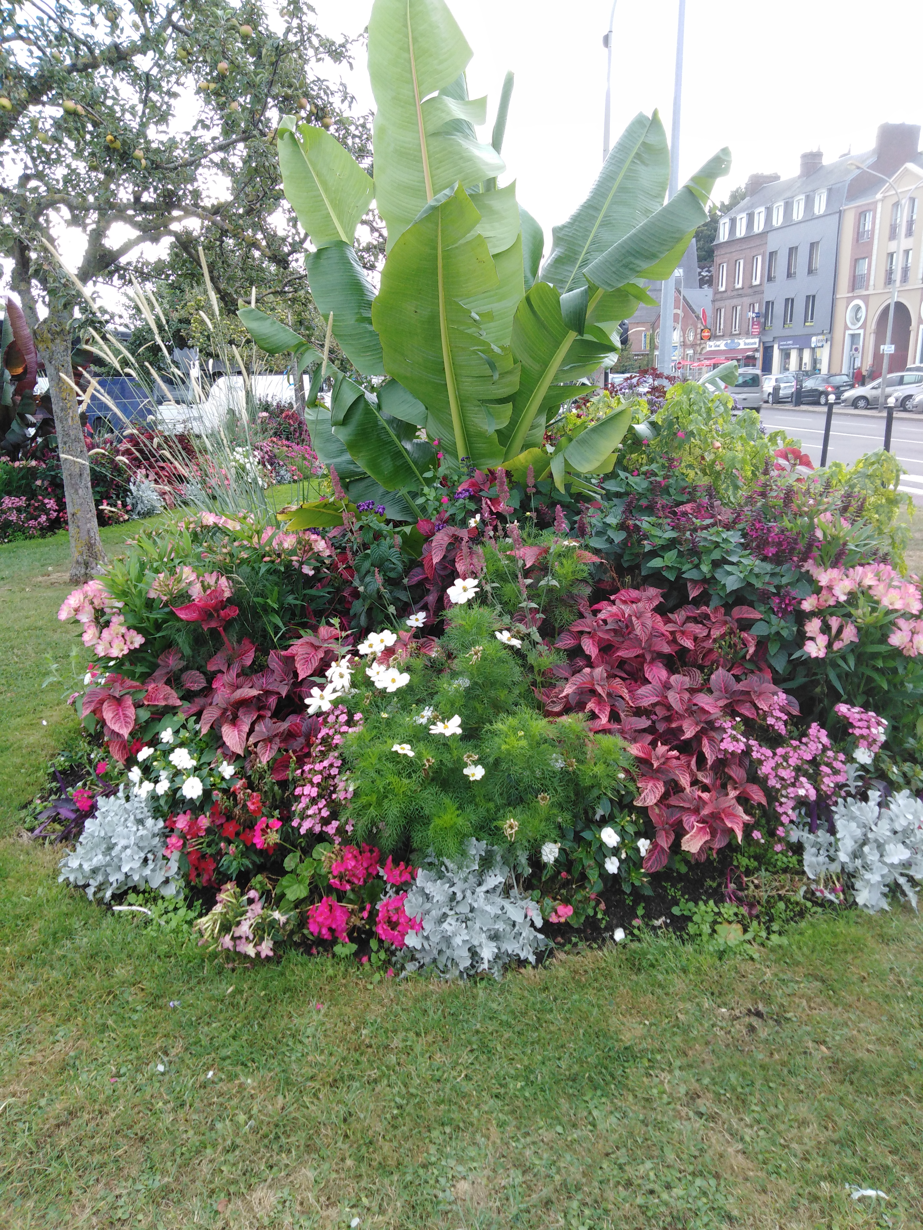 Photo n° 2 de l'avis de Didier.g fait le 17/01/2021 à 17:12