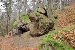 Rezerwat przyrody Kamień Michniowski image