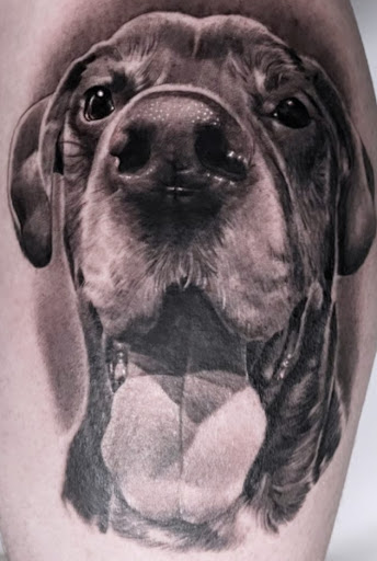 Tattoo Shop «Love N Hate Elite Tattoo Studio», reviews and photos, 2370 W Alameda Ave, Denver, CO 80223, USA