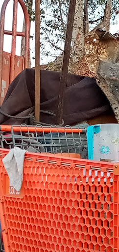 Grocery Store «Payless Foods», reviews and photos, 620 El Segundo Blvd, Los Angeles, CA 90059, USA