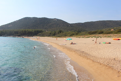 Plage de Scodi Neri à Olmeto