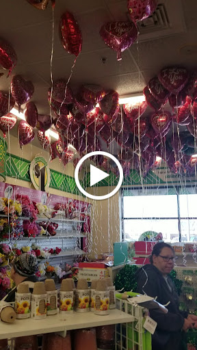 Dollar Store «Dollar Tree», reviews and photos, 4048 Atlanta Hwy, Loganville, GA 30052, USA