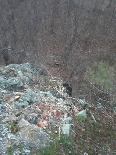 Park «Prospect Hill Park», reviews and photos, 314 Totten Pond Rd, Waltham, MA 02451, USA