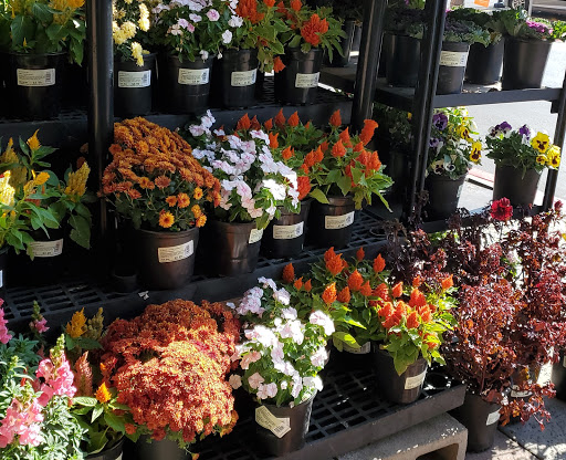 Grocery Store «Ralphs», reviews and photos, 659 E Palomar St, Chula Vista, CA 91911, USA