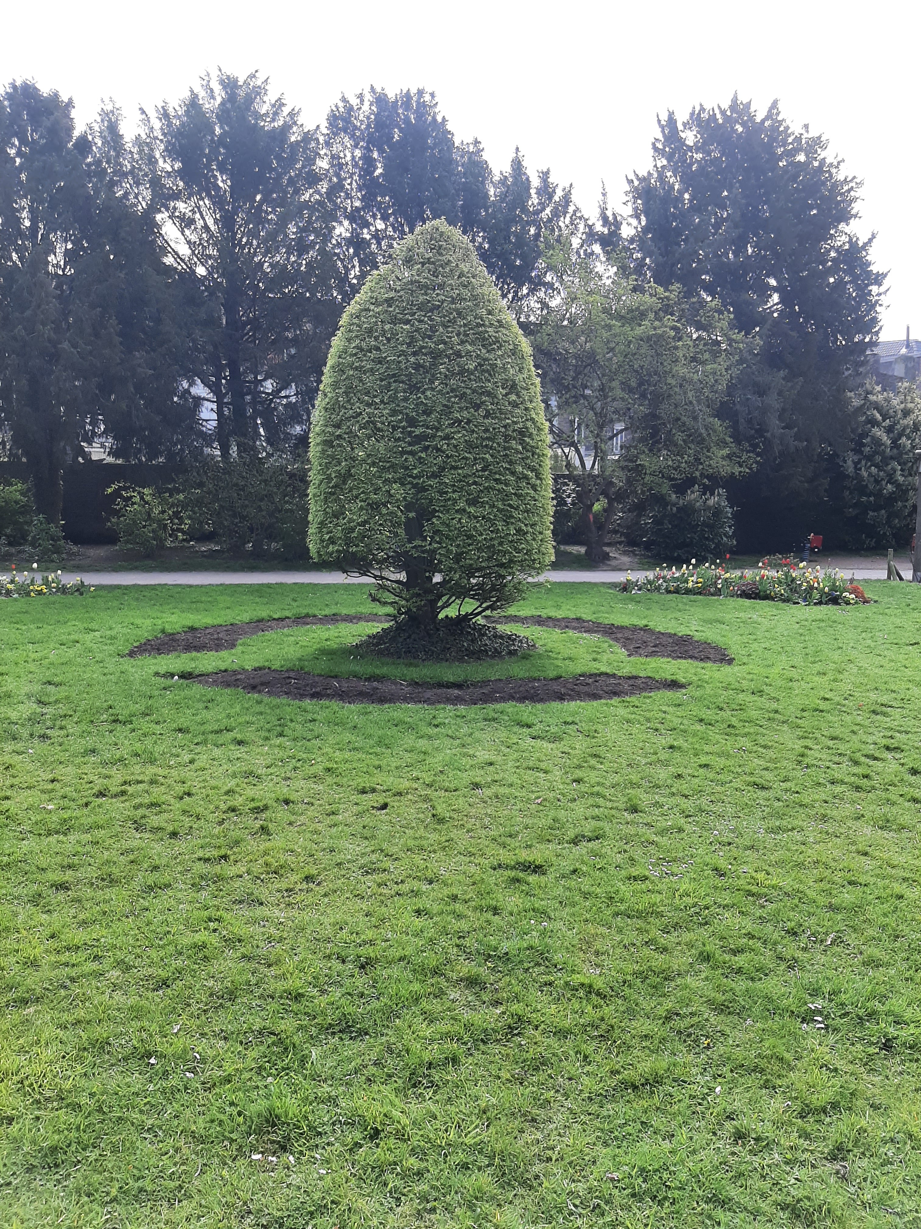 Photo n° 2 de l'avis de Annie.e fait le 21/04/2023 à 18:18