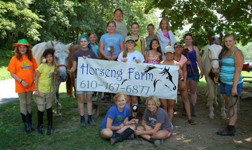 Horse Riding School «Horseng Farm LLC», reviews and photos, 6475 Warden Rd, New Tripoli, PA 18066, USA