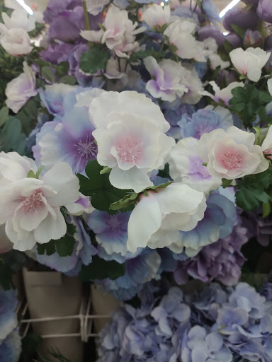 Craft Store «Michaels», reviews and photos, 880 FL-436 #1001, Altamonte Springs, FL 32714, USA