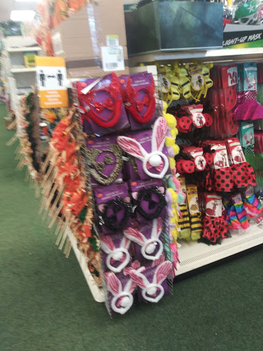 Dollar Store «Dollar Tree», reviews and photos, 340 Walmart Way, Dahlonega, GA 30533, USA