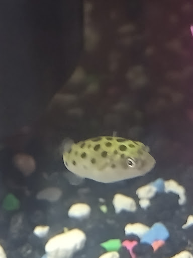 Pet Store «G & M Pet & Garden Center Inc», reviews and photos, 2014 N Walnut St, Muncie, IN 47303, USA