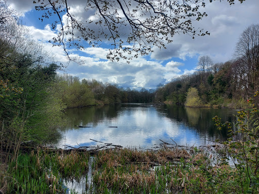 Colwick Country Park Nottingham