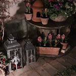 Photo n°8 de l'avis de Patrizia.a fait le 24/02/2020 à 19:33 sur le  Casale Falasco à Russi