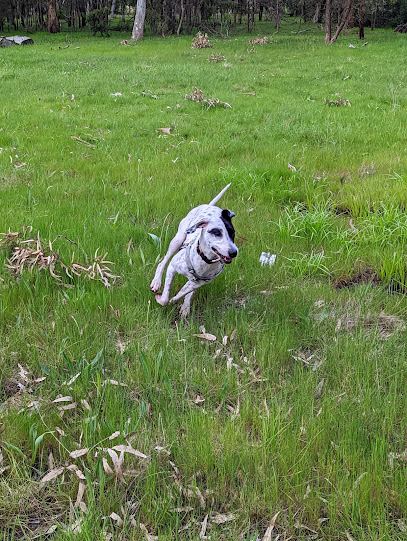 Greenvale Recreation Reserve Dog Off Leash Area