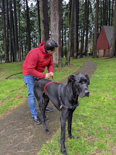 Park «Sellwood Riverfront Park», reviews and photos, SE Oaks Park Way, Portland, OR 97202, USA