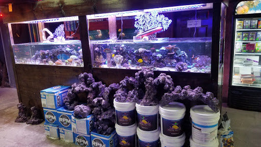 Pet Store «Fish R Us», reviews and photos, 10855 TX-242, Conroe, TX 77385, USA
