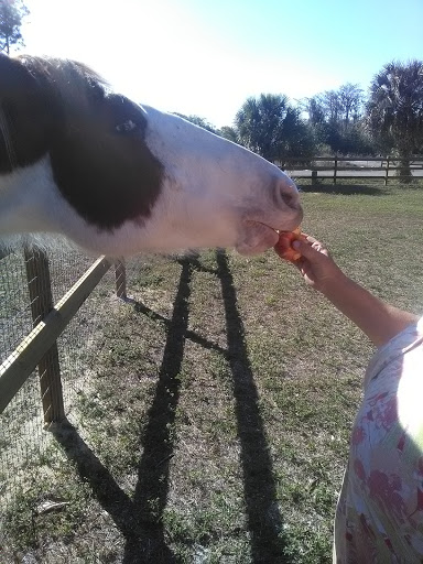 Aqua Pure Of SW Florida in Lehigh Acres, Florida