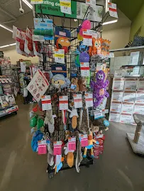 Pet Supplies Plus Ft. Collins - Car repair in Fort Collins, CO, Fort Collins - Rated 4.6/5