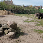 Photo n°2 de l'avis de Johannes.e fait le 17/05/2022 à 06:42 sur le  Naturhafen Krummin à Krummin