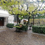 Photo n°1 de l'avis de Gianluca.e fait le 17/12/2020 à 13:06 sur le  Trattoria Al Laghett à Milan