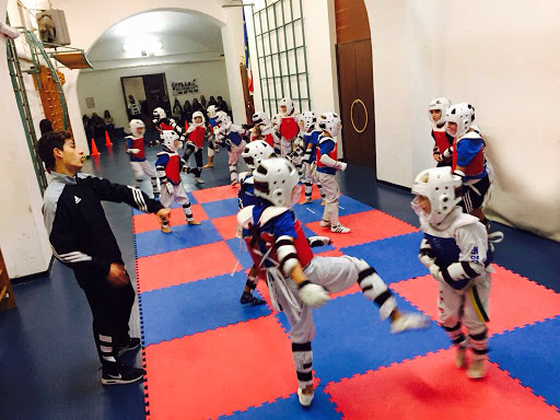 Asd Phoenix Warriors Taekwondo Club