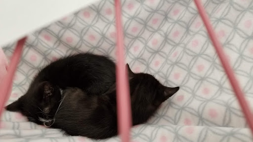 Pet Supply Store «Petco Animal Supplies», reviews and photos, 5850 Sepulveda Blvd, Van Nuys, CA 91411, USA