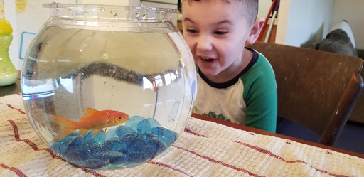 Pet Supply Store «PetSmart», reviews and photos, 5 Hampton House Rd, Newton, NJ 07860, USA