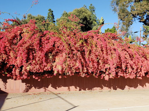Botanical Garden «Virginia Robinson Gardens», reviews and photos, 1008 Elden Way, Beverly Hills, CA 90210, USA