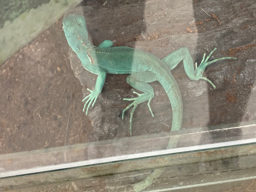 Pet Supply Store «Petco Animal Supplies», reviews and photos, 1207 S Caraway Rd, Jonesboro, AR 72401, USA