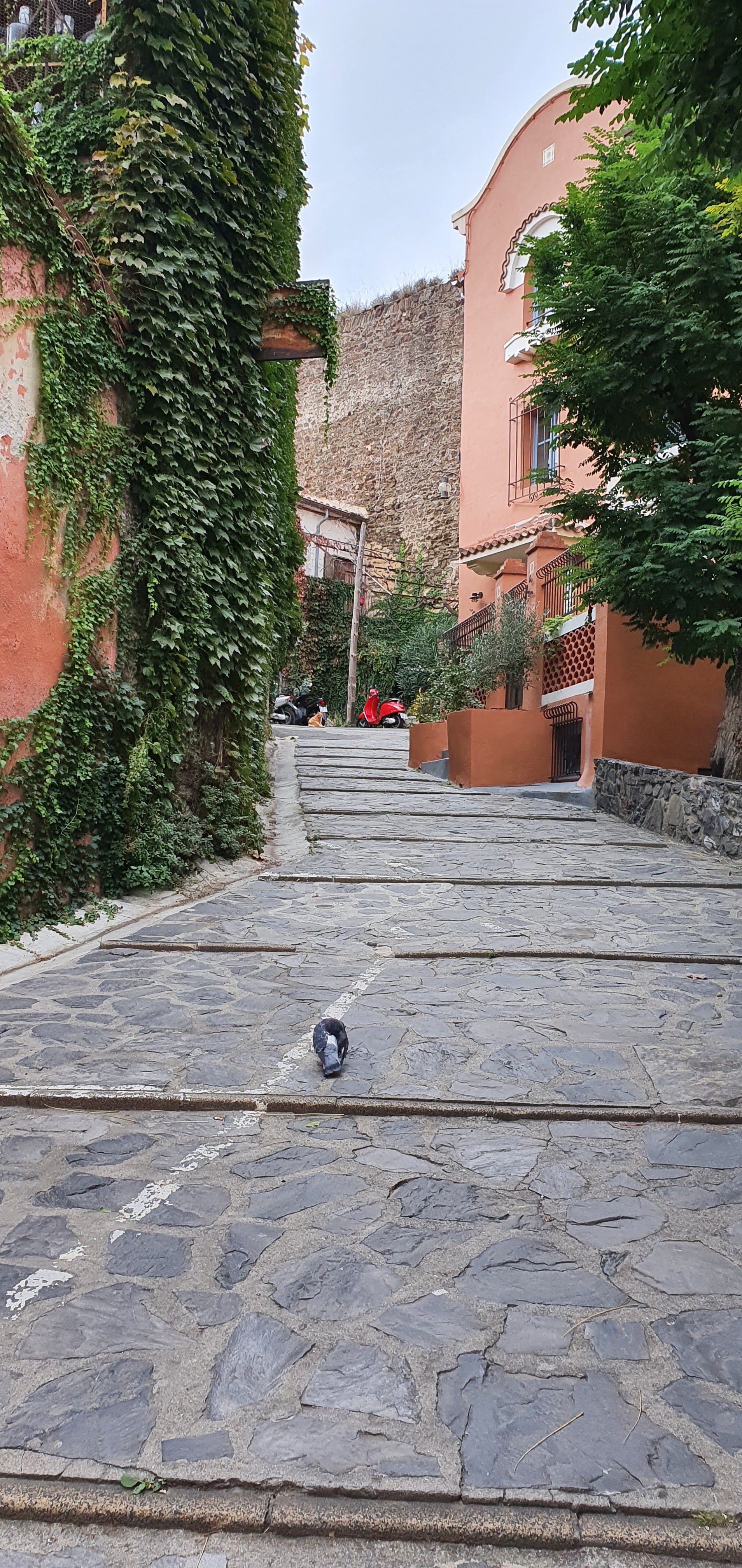 Photo n° 6 de l'avis de Raphaël.E fait le 05/10/2021 à 19:39