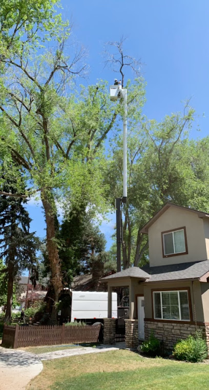 Apex Tree Service LLC